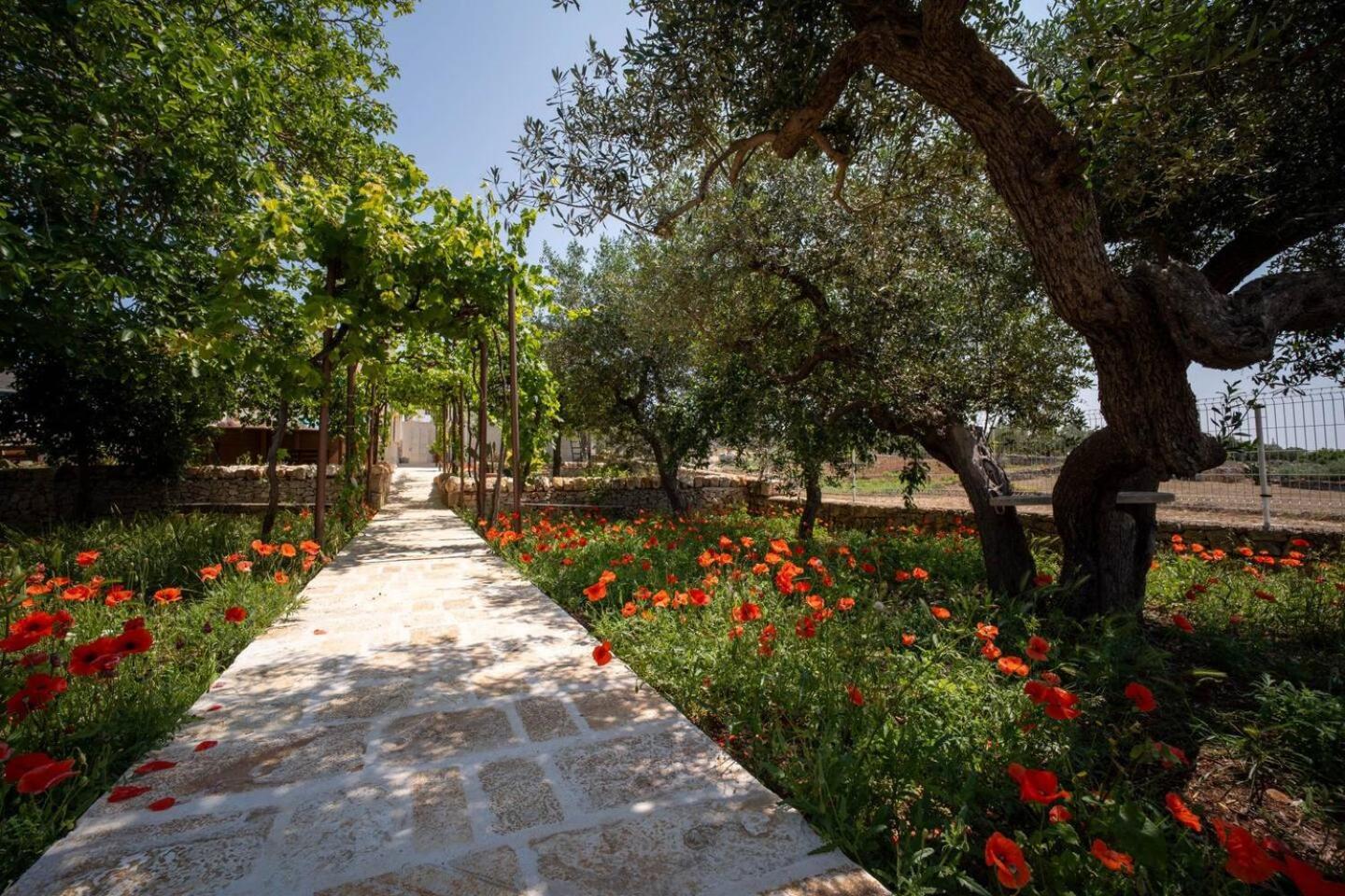 Valle D'Itria Trulli E Alcova Mikael Cisternino Dış mekan fotoğraf